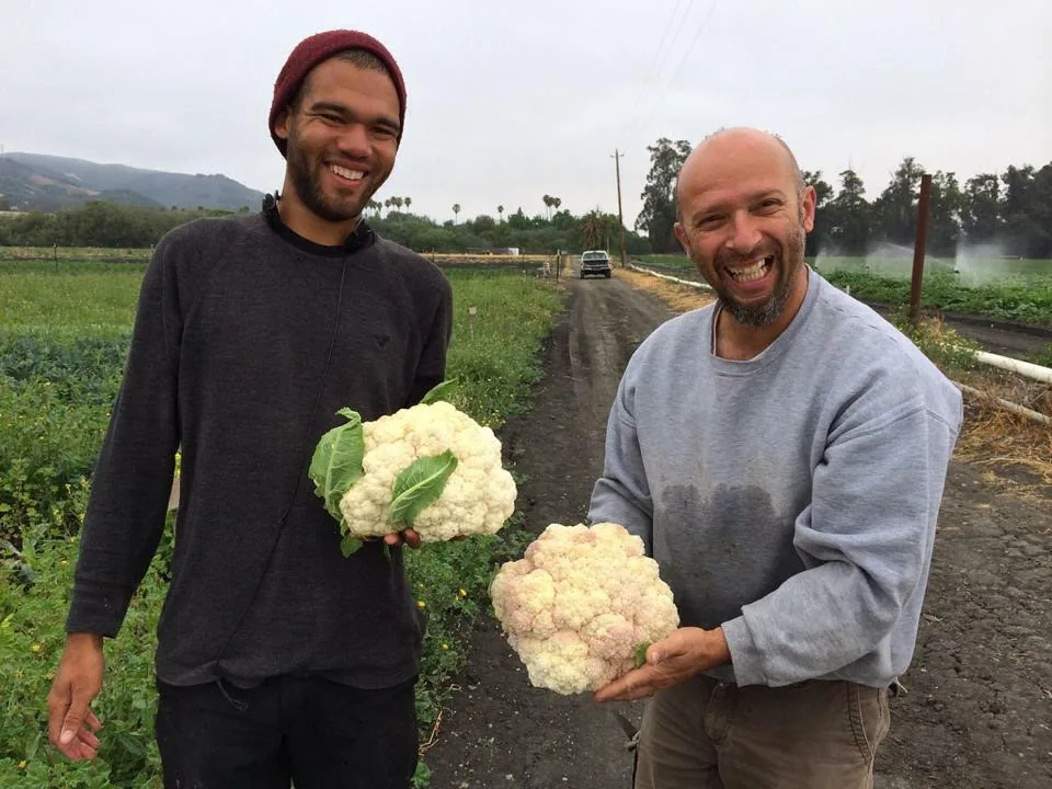 Chef Nicola and Darian holding heads of cauliflower in a farm field